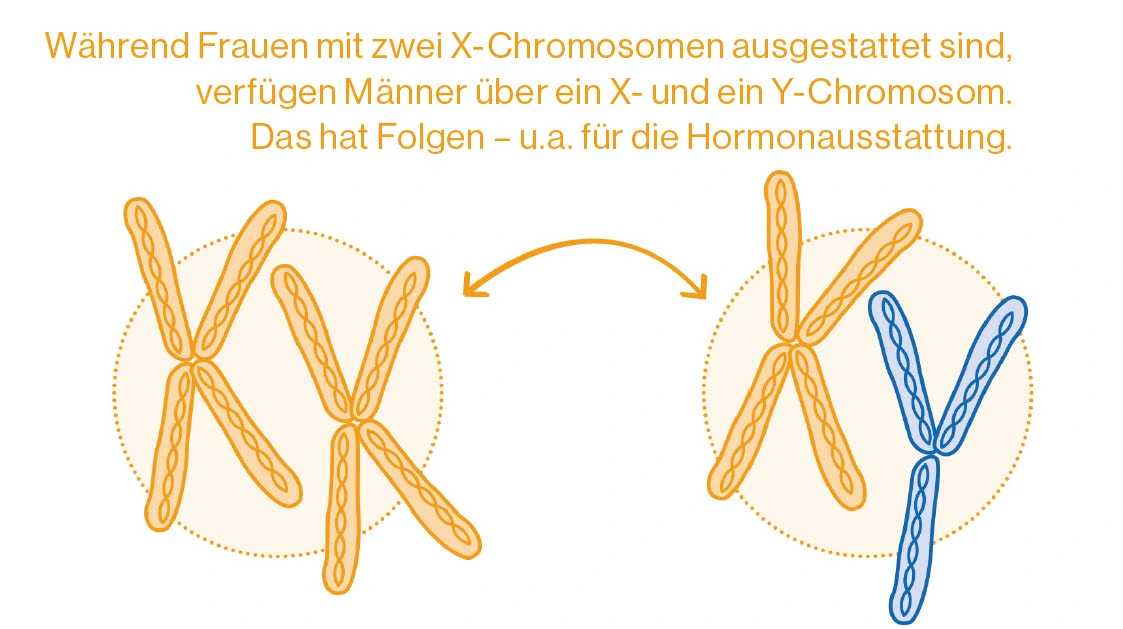 Gibt Es Frauen Mit Xy Chromosomen